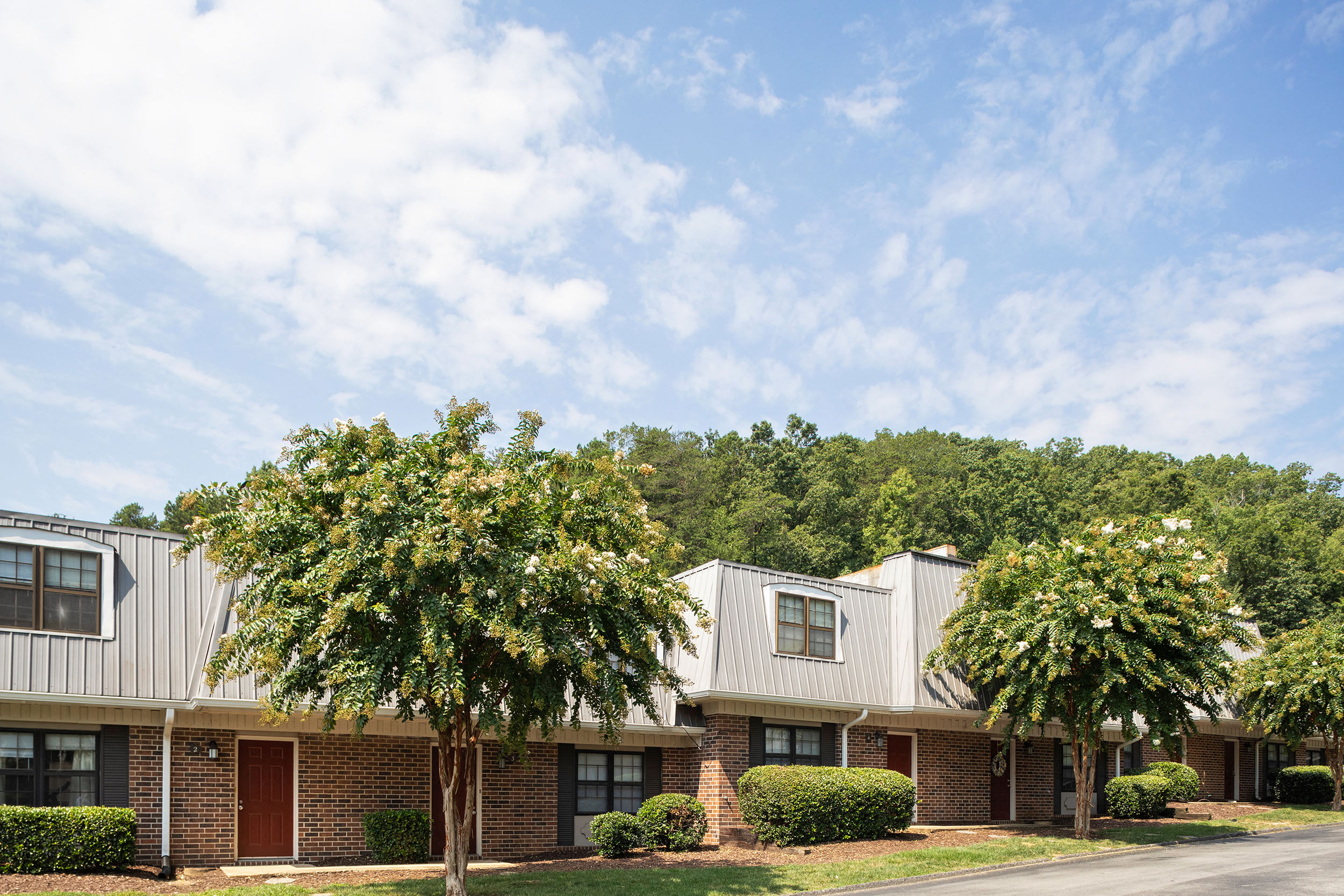 Photos and Video of Trails of Signal Mountain in Chattanooga, TN